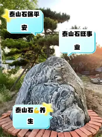 山东经济压舱石