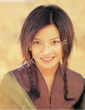 赵薇资本博弈黑幕真相